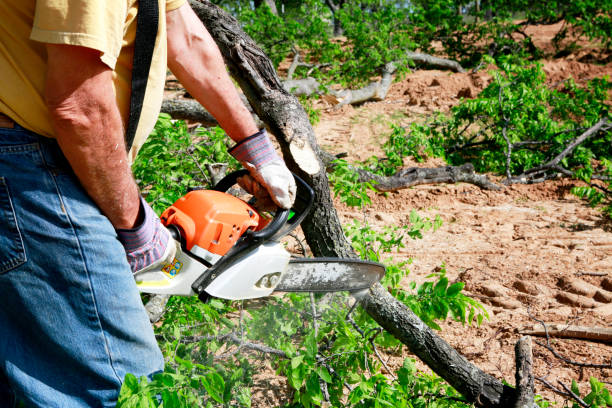 Best Aeration Services  in Port St Joe, FL
